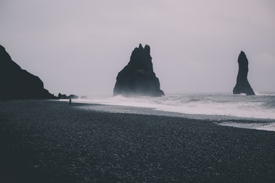 白天有海浪的海滩的灰度照片